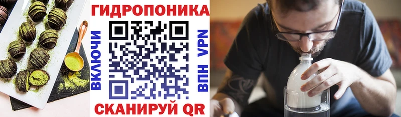 дарнет шоп  Евпатория  Cannafood конопля 
