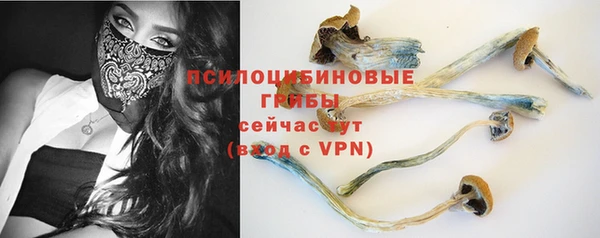 героин Галич