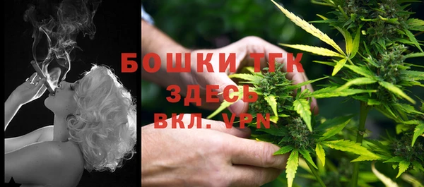 мяу мяу мука Осташков